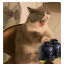 ghostbabestuff