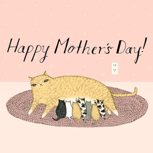 Don’t forget to say Happy Mothers’ Day! #illustration #cats #catlady #drawing #micron #greetingcard 