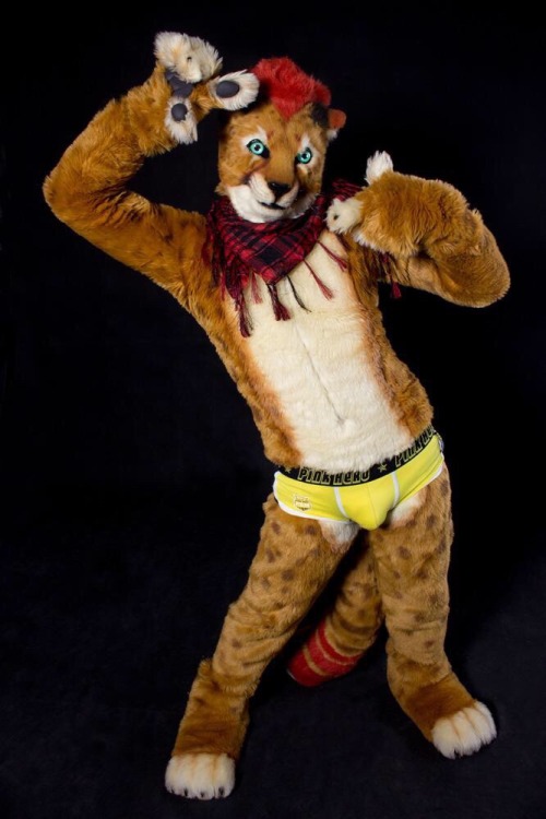 My bud, Cheetah Paws doing some sexy poses. ;PCheck out his Twitter! (♂ Link)***Not a Murrsuit.***~F
