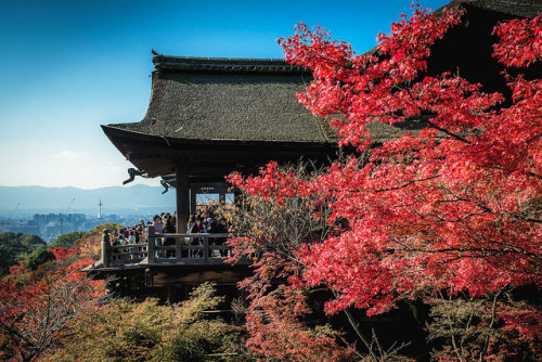 Kiyomizu-Dera in Red by @Mahalarp on Flickr.