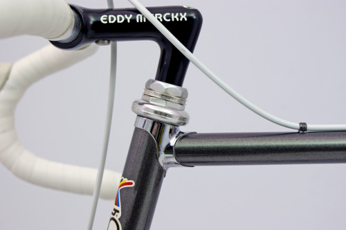 classicvintagecycling:  Eddy Merckx Chrome Special 1982 23