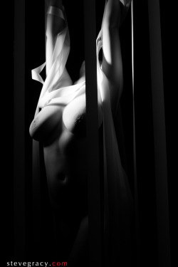 Stevegracyphoto: I Just Put A Great Set With Rin Up On My Website. Http://Stevegracy.com/Nude-Figure-Study-With-Hanging-Ribbons-Nsfw/