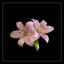 likeawildflower9