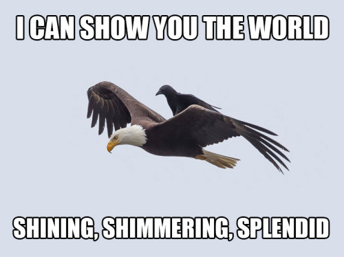 A whole new worldhttp://enpundit.com/crow-catches-ride-back-bald-eagle/