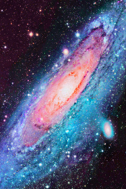 weareallstarstuff: Andromeda Galaxy 