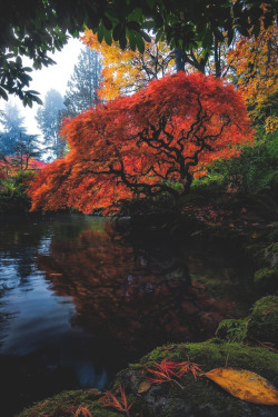 lsleofskye: Kubota Gardens | rosssvhphoto