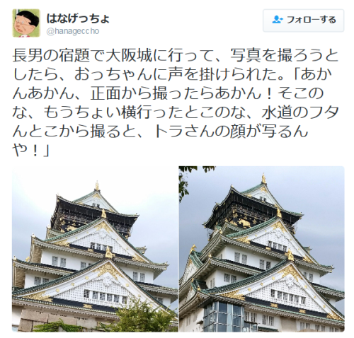 highlandvalley:はなげっちょさんのツイート: “長男の宿題で大阪城に行って、写真を撮ろうとしたら、おっちゃんに声を掛けられた。｢あかんあかん、正面から撮ったらあかん！そこのな、もうちょい