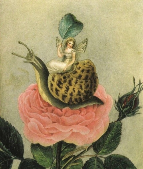 talesfromweirdland:A fairy riding a snail—Victorian artist, Amelia Jane Murray (1800-1896).