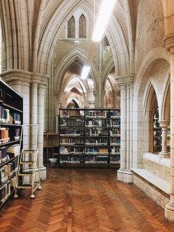 warmhealer:Every library in london is dreamy, a series by me