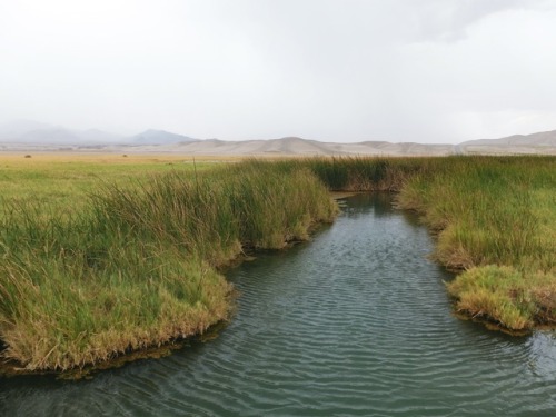 Hot springs in the middle of the desert. Rainy day in Tacopa, California.Sharon Patterson Monge