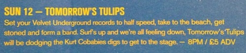 tomorrows tulips fan blog