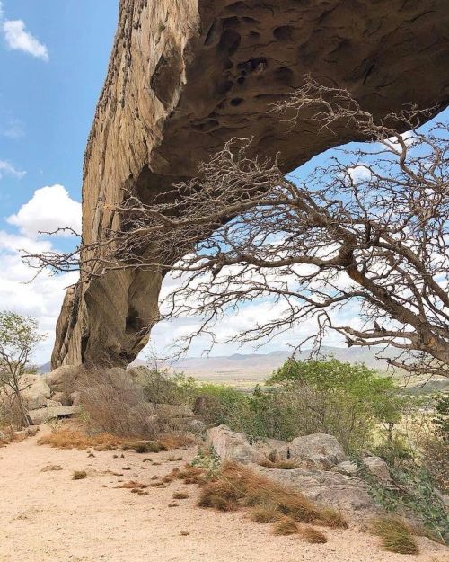 Aposto que você nunca tinha ouvido falar da Pedra Furada, lugar turístico que fica lá em Pernambuco! Anota a dica: a formação fica em Venturosa (PE) e se destaca pela fenda em formato de arco - coisa linda - com uma passagem de mais de 100 metros...