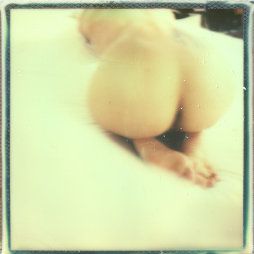 carneluceazzurraguerrini:  Polaroid Film Impossible Sx-70 © Azzurra Guerrini  voll schön