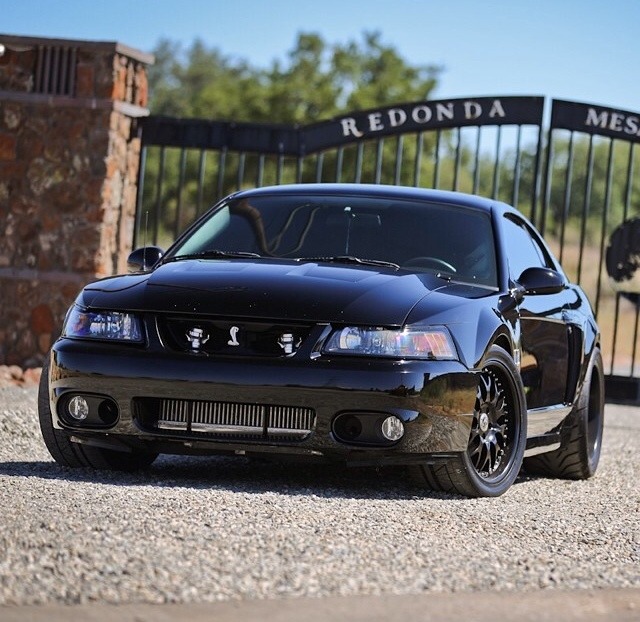JUST THE COOLEST MUSTANGS