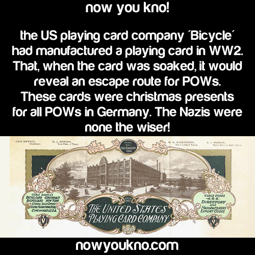 nowyoukno:  10 Christmas Facts Click Here for more!