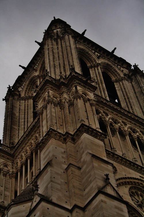 The Eiffel Tower And Notre Dame. Paris, France