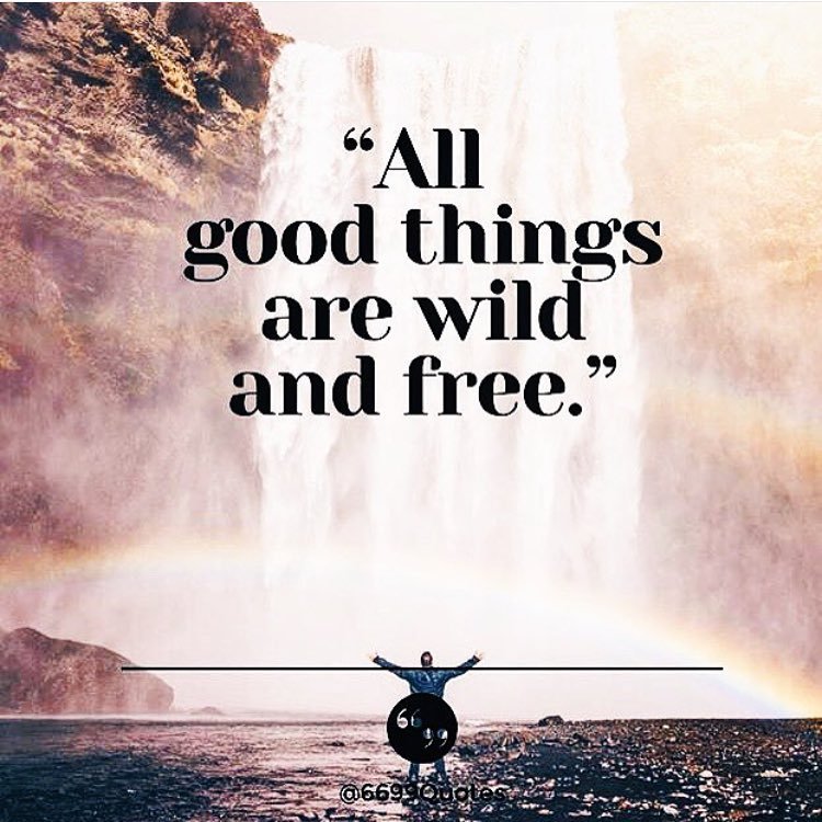 alyssagadson:  May you be happy and free always. 🙏🏼   #positivevibrations #vibratehigher