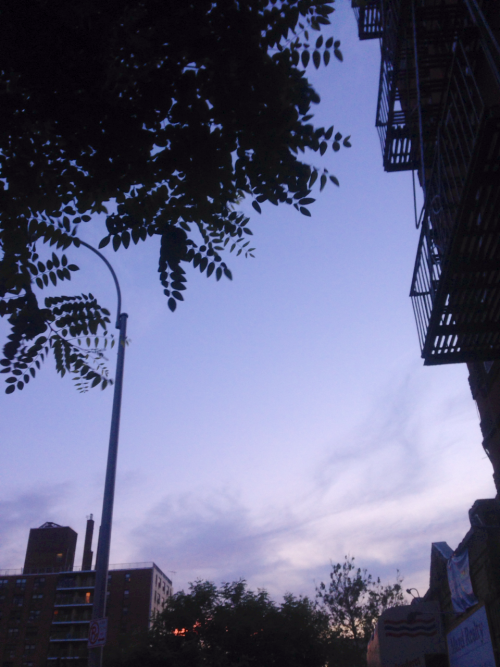 oracles:  8:36pm Bronx, New York 