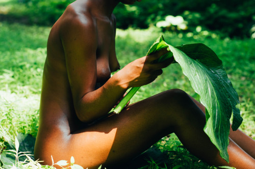 samohtrekab:  and as the sun hits that beautiful brown skin… | photo by samohtrekab  