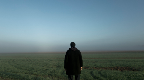 ambience006:  Evan (2014) - Lauren Withrow