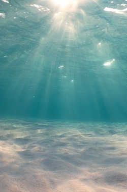 0rient-express:  Rays of light! | by Ellen