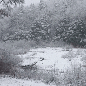 minced–oath: 60° yesterday, 3&quot; snow today 🐇❄️