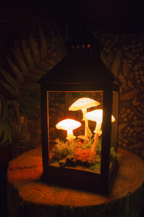 katyasneg:RGB mushroom lamp in lantern by TheSnowmade - https://www.etsy.com/shop/TheSnowmade