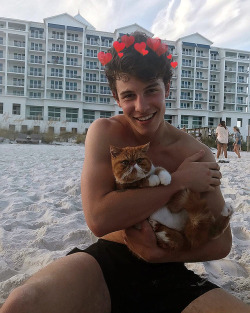 hotfamousmen:  Shawn Mendes