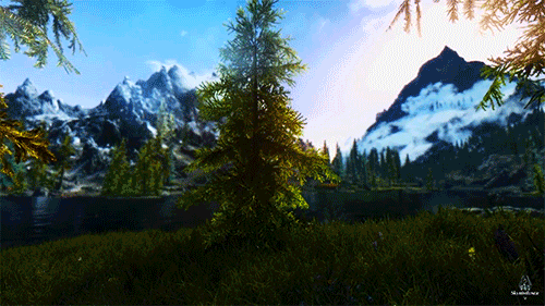 brightleaves:x