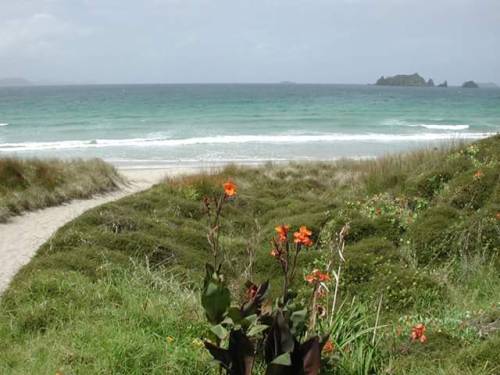 angel-kiyoss:  Opito Bay, New Zealand.  adult photos