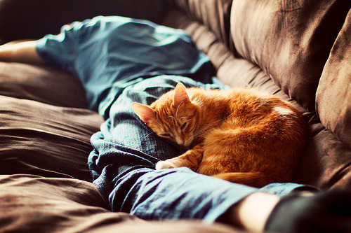 My Blog.