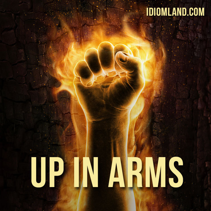 Hey guys! 😀 Our idiom of the day is ”Be up in arms”, which means “to protest strongly.”
This idiom originally referred to an armed rebellion and was so used from the late 1500s. Its figurative use dates from about 1700.
Didn’t understand this idiom?...