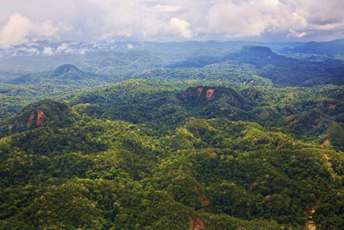 peruamazing: AYAHUASCA PERÚ