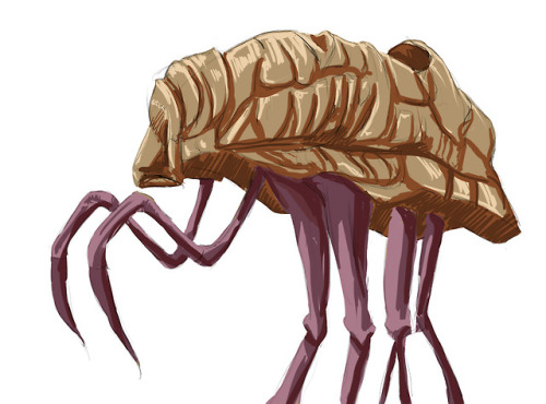 rhubarb-stew-art:don’t even talk to me unless you think silt striders are the coolest things ever