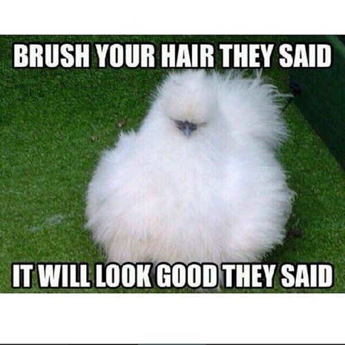 true! #BrushYourHairTheySaid @curlyhairprobs #Fluff #2frochicks  #naturalhair #naturalista #frobabe 