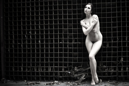 Anoush X by mykool