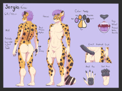 plankboynsfw:  Cheetah ref sheets. I like