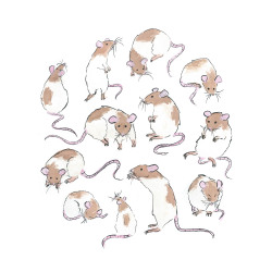 kyecheng:  I drew some rats..then arranged