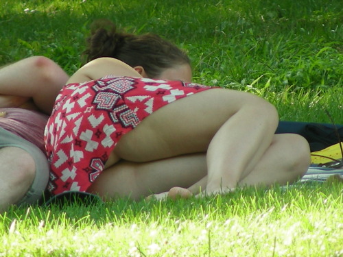 tumblr photo felixgattogigio 0
