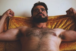 Follow my two hairy men blogs:http://sambrcln.tumblr.comhttp://hairysex.tumblr.com