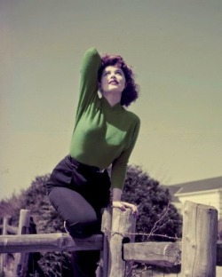 Damsellover:  Gotta Love A Sweater Girl….Tina Louise