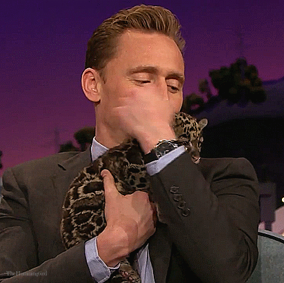 thehumming6ird:Tom Hiddleston + CatsPrefer dogs? Happy International Cat Day!