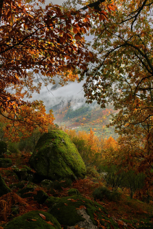 melusineh:Outono na Serra da Estrela by Paulo Rebelo