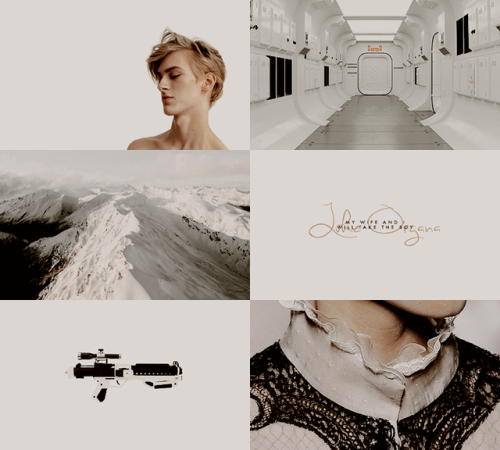 jediknightrey:AESTHETIC MEME:  [5/7] AUs: Luke Organa and Leia Skywalker AUHidden, safe, the ch