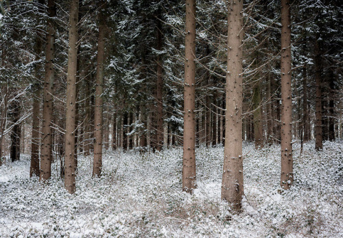 Winter wonderland by Chris Pope www.christopherpopephotography.com