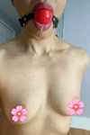 flashy-title:Drooly little flowerLewds and nudes