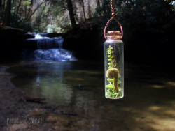 frolicingintheforest:  https://www.etsy.com/listing/190171054/discounted-forest-floor-fern-vial