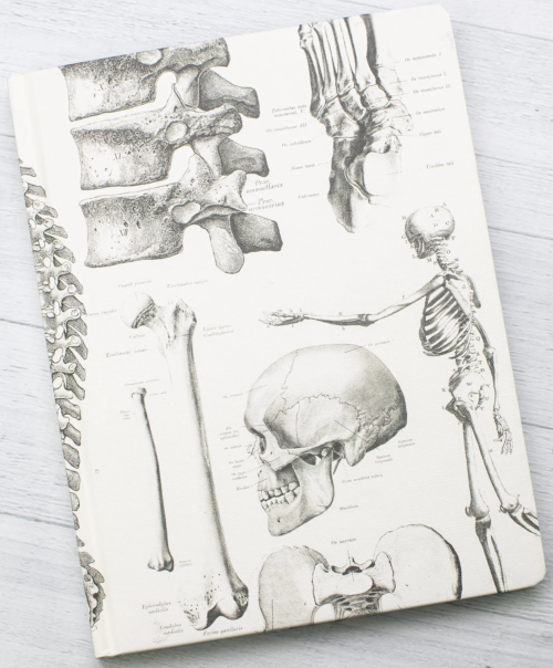 Anatomically Illustrated Notebooksby Cognitive Surplus