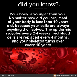 did-you-kno:  Your body is younger than you.