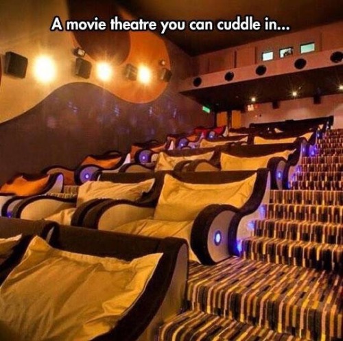 onelostdarkangel: wolfsurplus:   juniperandginger:  *  Cuddle? 😏   Or…whatever?! 😉  That kind of creeps me out.  What do they do about bedbugs, lice and other vermin that might be carried into the theater?  With the way bed bugs were spreading